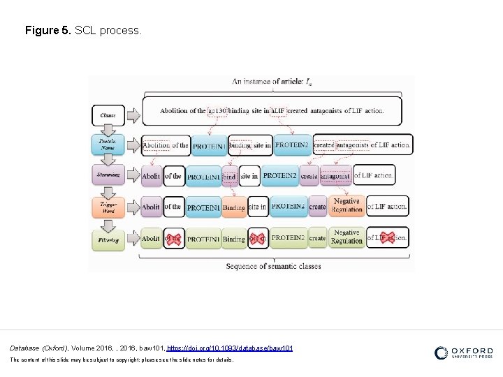 Figure 5. SCL process. Database (Oxford), Volume 2016, , 2016, baw 101, https: //doi.
