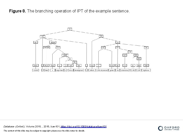 Figure 8. The branching operation of IPT of the example sentence. Database (Oxford), Volume