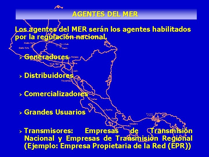 AGENTES DEL MER Los agentes del MER serán los agentes habilitados por la regulación