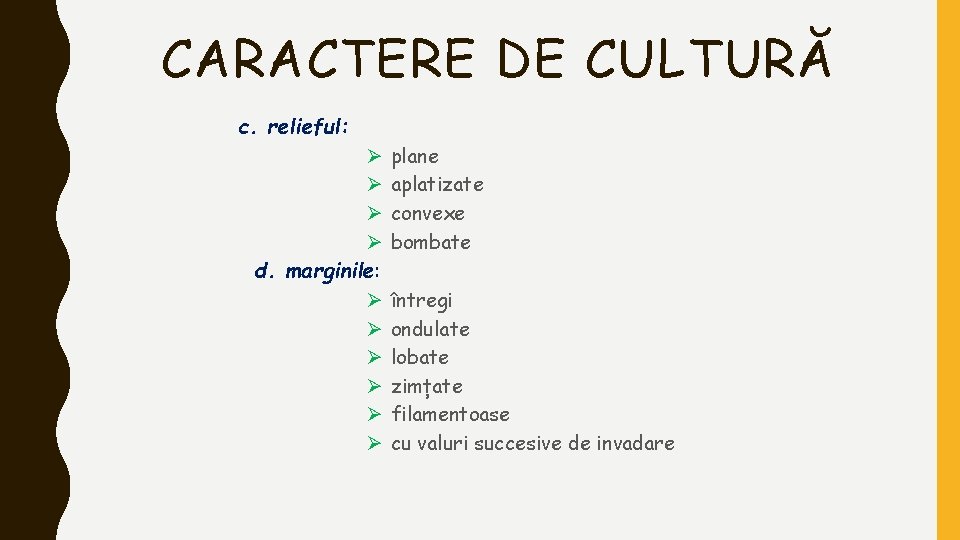 CARACTERE DE CULTURĂ c. relieful: Ø Ø d. marginile: Ø Ø Ø plane aplatizate