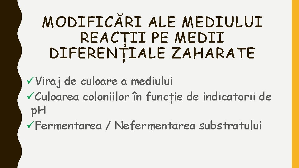 MODIFICĂRI ALE MEDIULUI REACȚII PE MEDII DIFERENȚIALE ZAHARATE üViraj de culoare a mediului üCuloarea