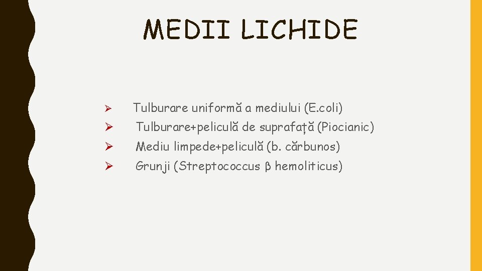 MEDII LICHIDE Ø Tulburare uniformă a mediului (E. coli) Ø Tulburare+peliculă de suprafață (Piocianic)