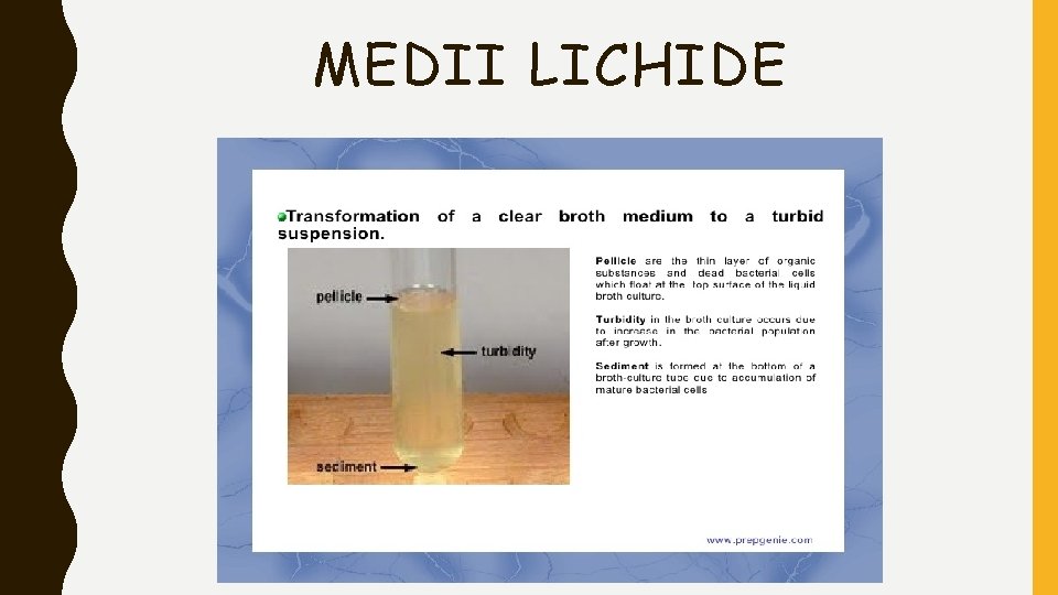 MEDII LICHIDE 