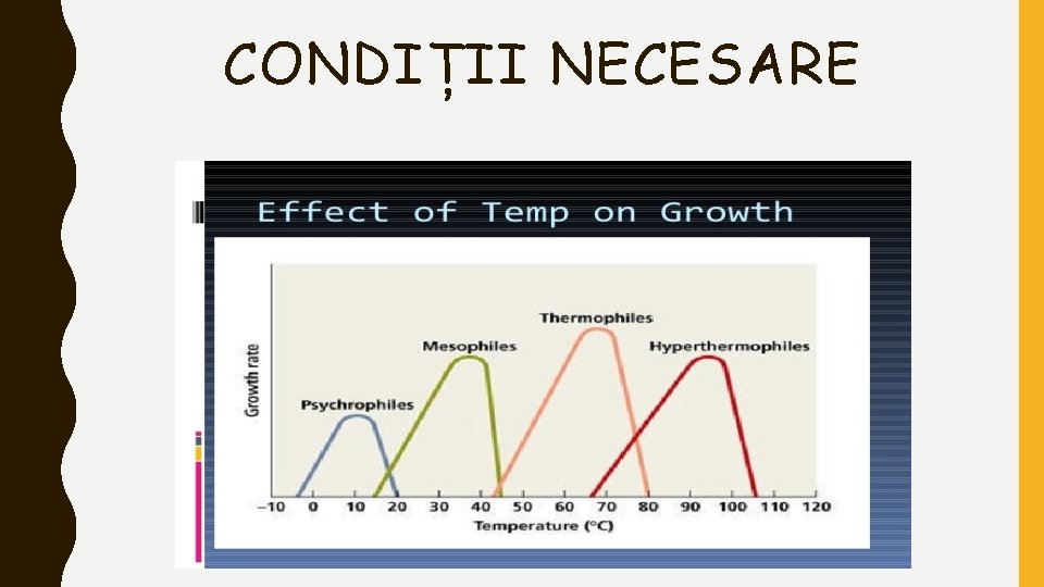 CONDIȚII NECESARE 