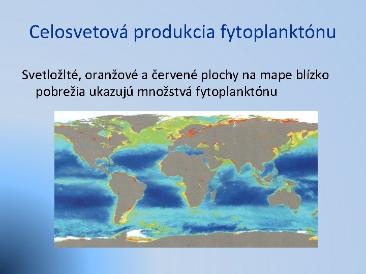 Celosvetová produkcia fytoplanktónu Svetložlté, oranžové a červené plochy na mape blízko pobrežia ukazujú množstvá