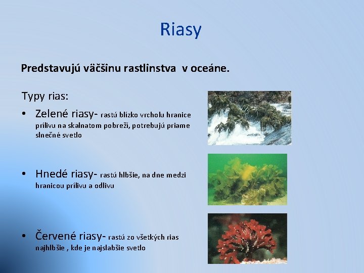 Riasy Predstavujú väčšinu rastlinstva v oceáne. Typy rias: • Zelené riasy- rastú blízko vrcholu