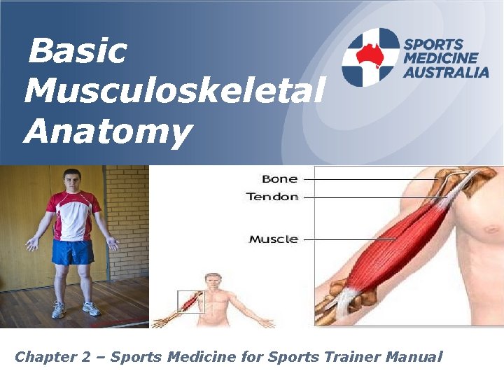 Basic Musculoskeletal Anatomy Chapter 2 – Sports Medicine for Sports Trainer Manual 