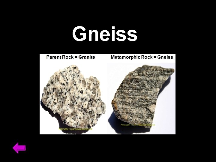 Gneiss 