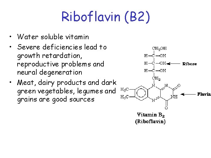 Riboflavin (B 2) • Water soluble vitamin • Severe deficiencies lead to growth retardation,