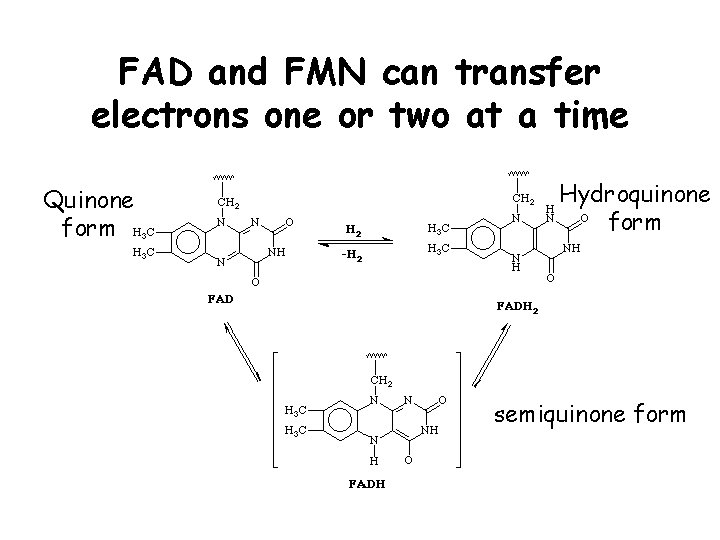 FAD and FMN can transfer electrons one or two at a time Quinone form