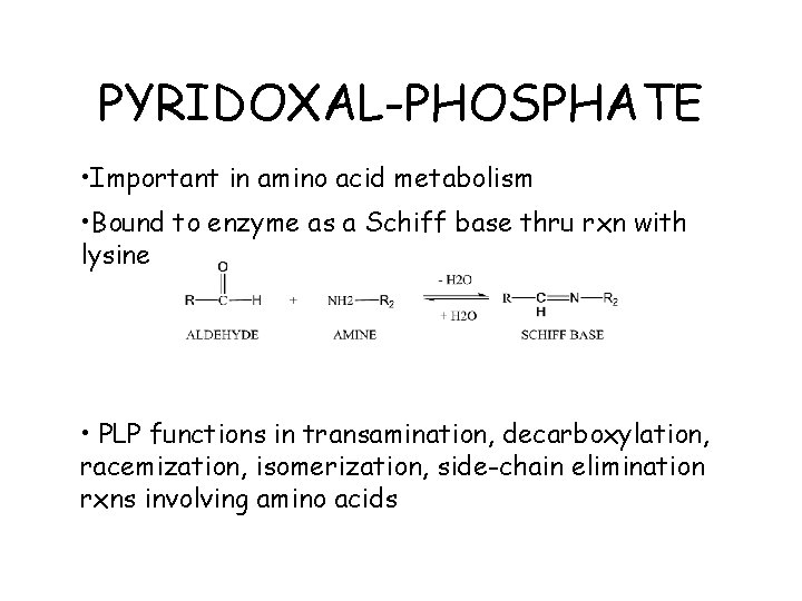 PYRIDOXAL-PHOSPHATE • Important in amino acid metabolism • Bound to enzyme as a Schiff