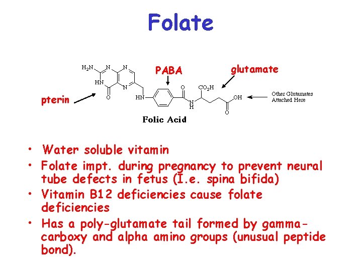 Folate PABA glutamate pterin • Water soluble vitamin • Folate impt. during pregnancy to