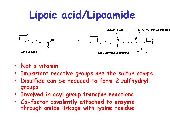 Lipoic acid/Lipoamide • Not a vitamin • Important reactive groups are the sulfur atoms