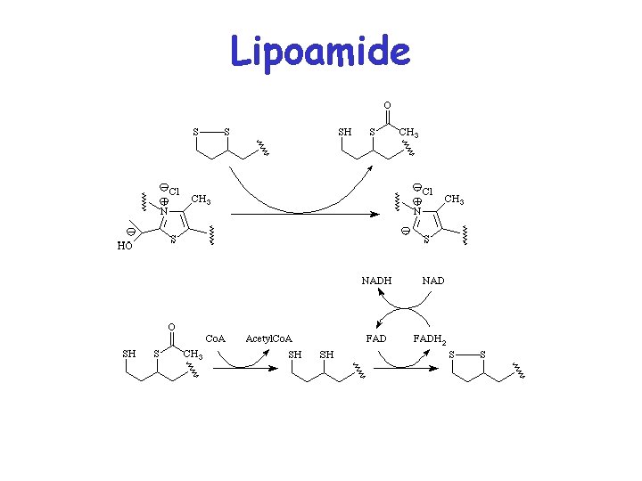Lipoamide Lipoamide