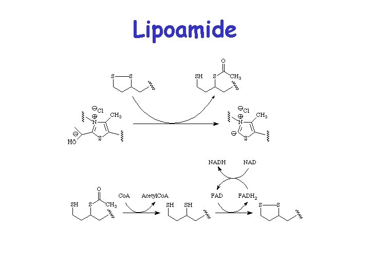 Lipoamide 