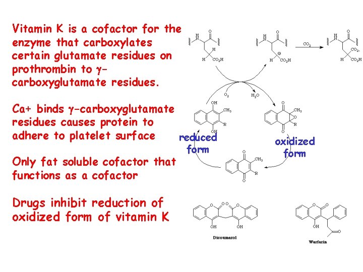 Vitamin K is a cofactor for the enzyme that carboxylates certain glutamate residues on