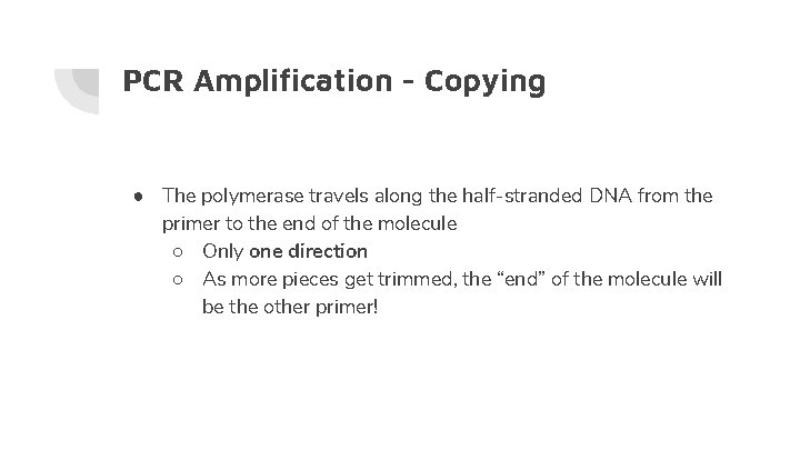 PCR Amplification - Copying ● The polymerase travels along the half-stranded DNA from the