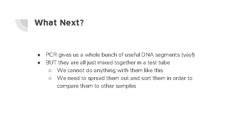 What Next? ● PCR gives us a whole bunch of useful DNA segments (yay!)