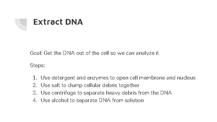 Extract DNA Goal: Get the DNA out of the cell so we can analyze