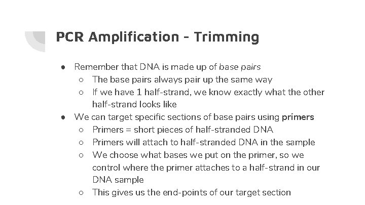 PCR Amplification - Trimming ● Remember that DNA is made up of base pairs