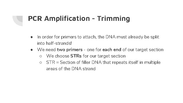 PCR Amplification - Trimming ● In order for primers to attach, the DNA must