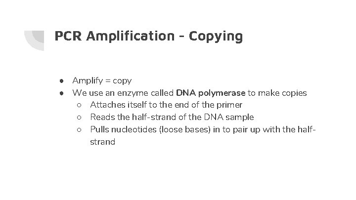 PCR Amplification - Copying ● Amplify = copy ● We use an enzyme called