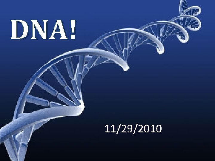 DNA! 11/29/2010 