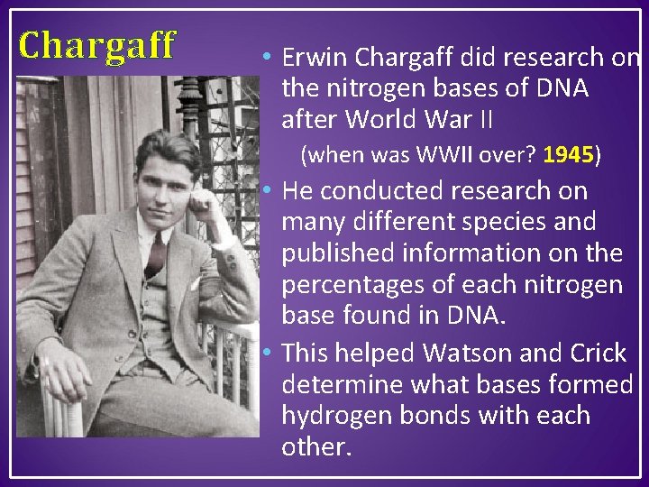 Chargaff • Erwin Chargaff did research on the nitrogen bases of DNA after World