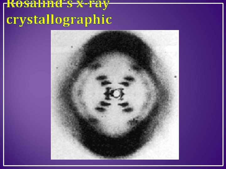 Rosalind’s x-ray crystallographic 