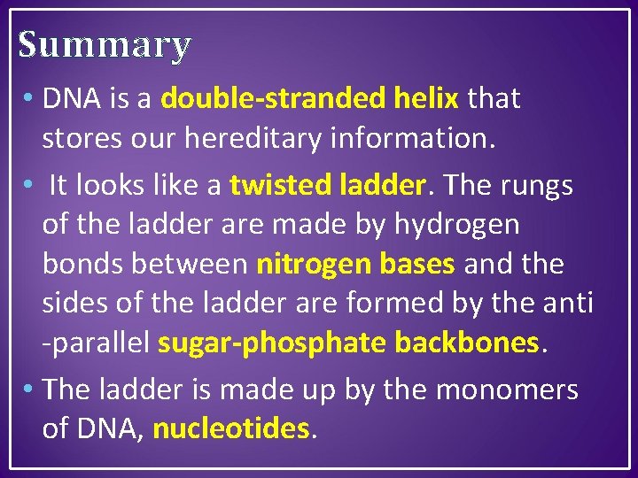 Summary • DNA is a double-stranded helix that stores our hereditary information. • It