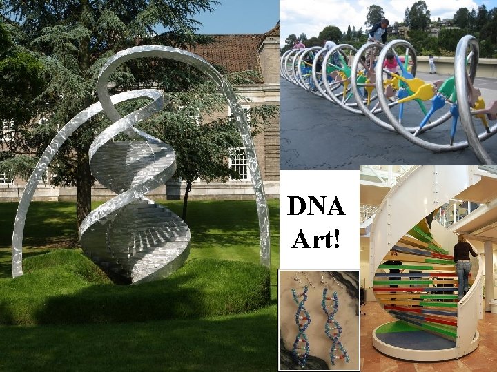 DNA Art! 