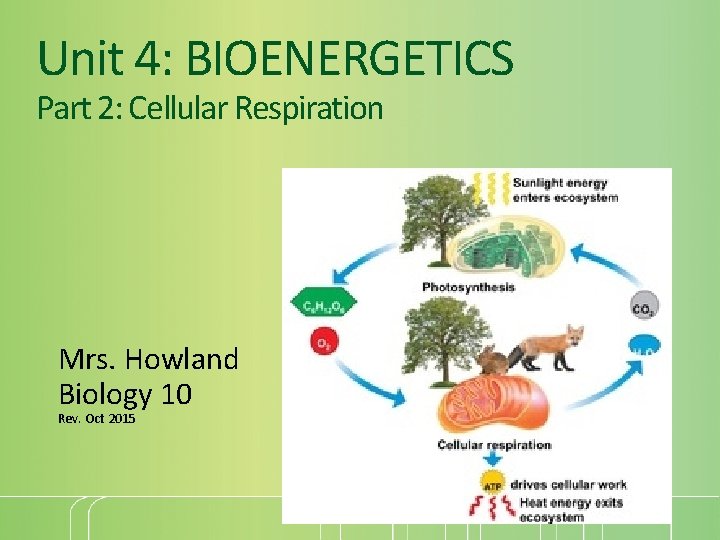 Unit 4: BIOENERGETICS Part 2: Cellular Respiration Mrs. Howland Biology 10 Rev. Oct 2015