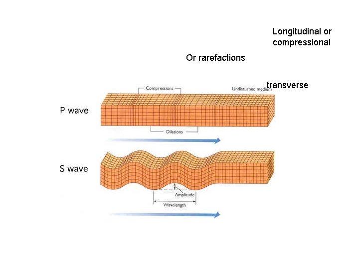 Longitudinal or compressional Or rarefactions transverse 