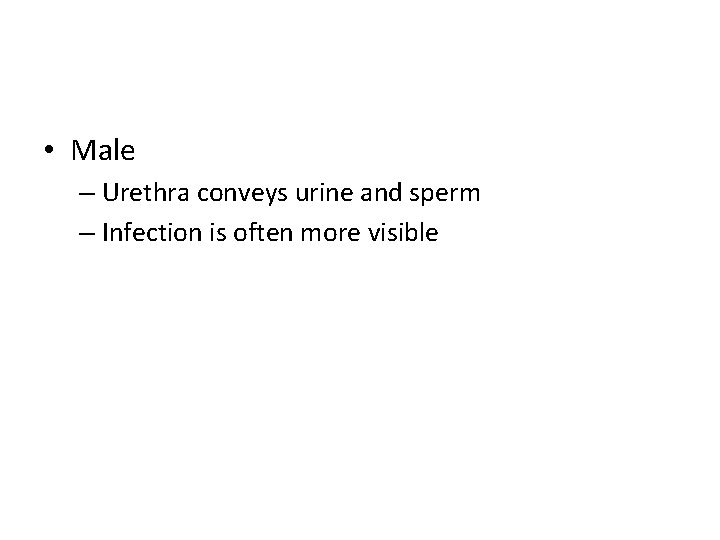  • Male – Urethra conveys urine and sperm – Infection is often more