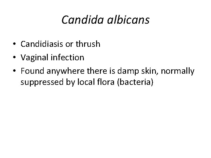 Candida albicans • Candidiasis or thrush • Vaginal infection • Found anywhere there is