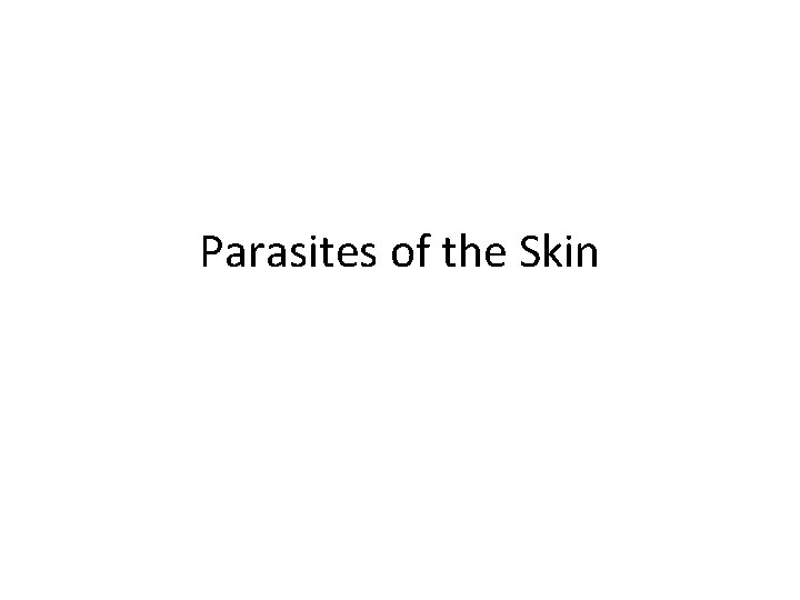 Parasites of the Skin 