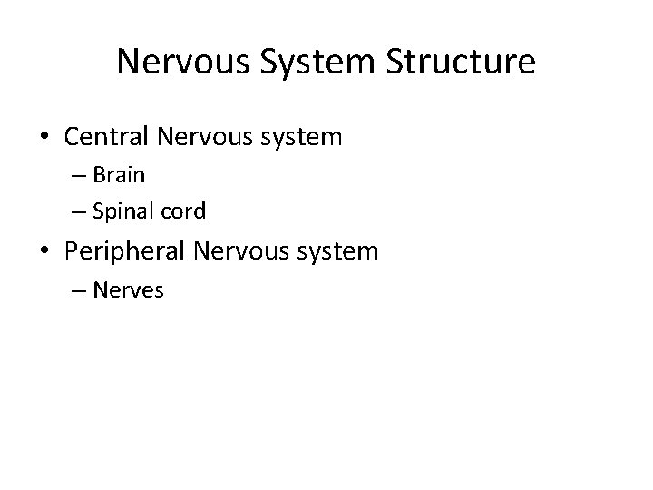 Nervous System Structure • Central Nervous system – Brain – Spinal cord • Peripheral