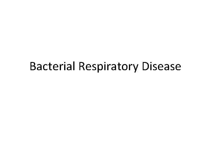 Bacterial Respiratory Disease 