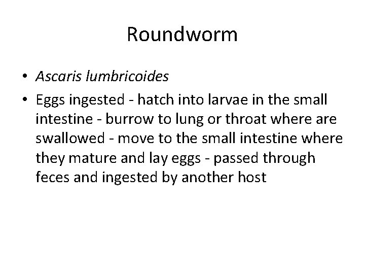 Roundworm • Ascaris lumbricoides • Eggs ingested - hatch into larvae in the small