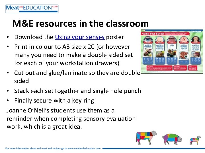 M&E resources in the classroom • Download the Using your senses poster • Print