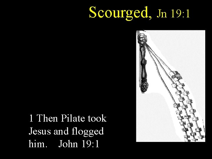 Scourged, Jn 19: 1 1 Then Pilate took Jesus and flogged him. John 19: