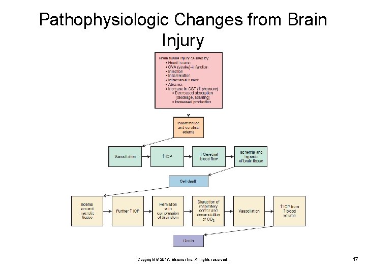 Pathophysiologic Changes from Brain Injury Copyright © 2017, Elsevier Inc. All rights reserved. 17