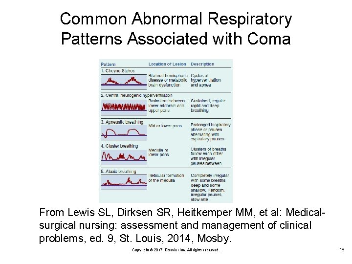 Common Abnormal Respiratory Patterns Associated with Coma From Lewis SL, Dirksen SR, Heitkemper MM,