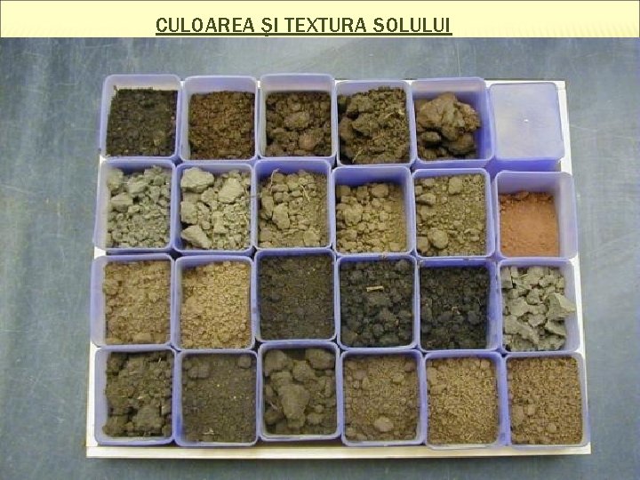 CULOAREA ŞI TEXTURA SOLULUI 