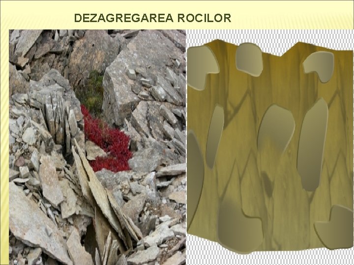 DEZAGREGAREA ROCILOR 