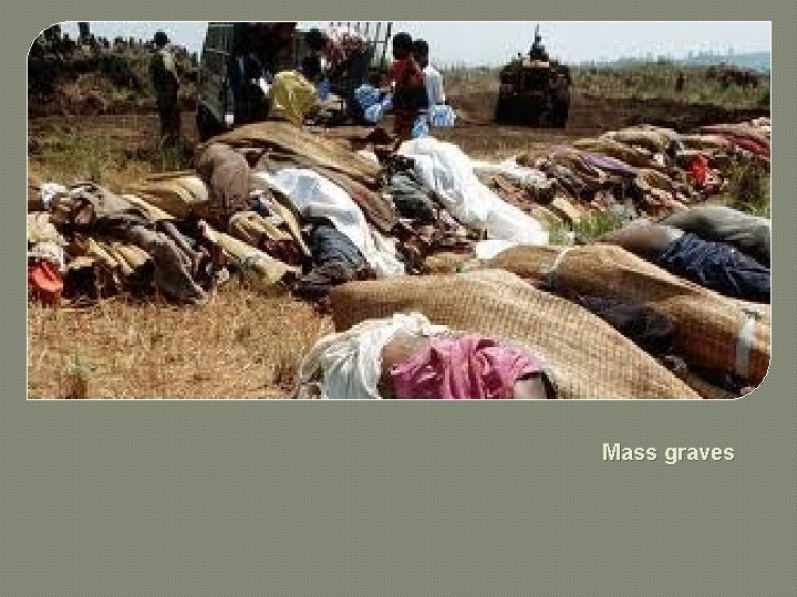 Mass graves 