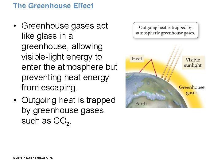 The Greenhouse Effect • Greenhouse gases act like glass in a greenhouse, allowing visible-light