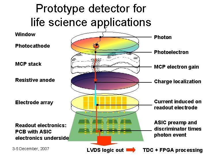 Prototype detector for life science applications Window Photon Photocathode Photoelectron MCP stack MCP electron