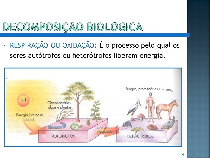  RESPIRAÇÃO OU OXIDAÇÃO: É o processo pelo qual os seres autótrofos ou heterótrofos