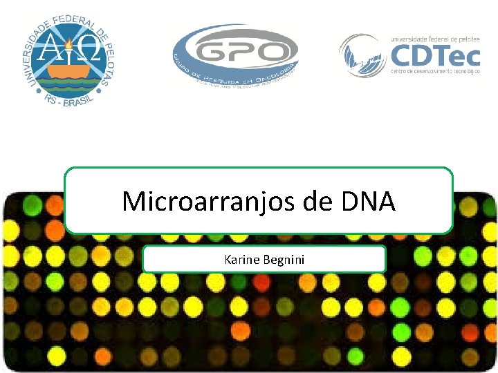 Microarranjos de DNA Karine Begnini 